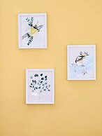 Appartements Balcon Blanc