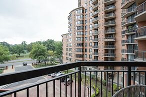 Pentagon City Modern apartment