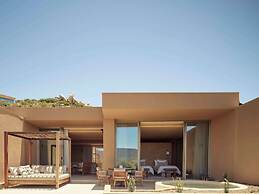 Banyan Tree Veya Valle De Guadalupe