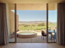 Banyan Tree Veya Valle De Guadalupe