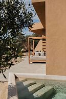 Banyan Tree Veya Valle De Guadalupe