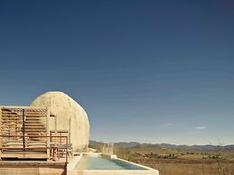 Banyan Tree Veya Valle De Guadalupe
