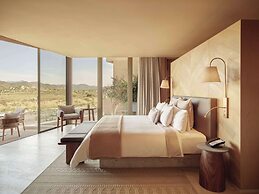 Banyan Tree Veya Valle De Guadalupe