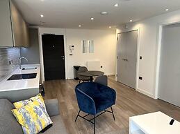 One Bedroom Luxury Flat in City Center