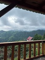 Kalivi Suit Bungalov