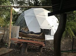 Ecohotel Ambrosia Lodge