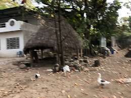 Ecohotel Ambrosia Lodge