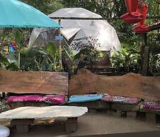 Ecohotel Ambrosia Lodge