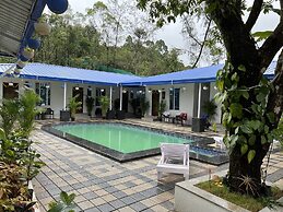 Buddha Tree Home Stay