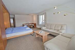 Haus Matten - Apartment Birch