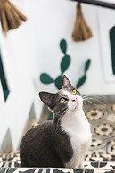 Riad Danka Boutique Hôtel