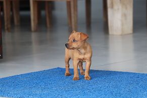 Pousada Kasarão Praia Grande