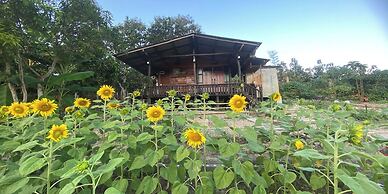 Nokkamin Home Chiang Dao