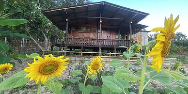 Nokkamin Home Chiang Dao