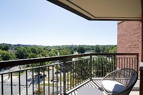 Gorgeous Apt with Rooftop City View