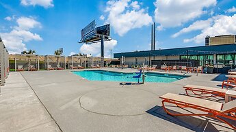 Staybridge Suites Dallas Market Ctr Love Field by IHG