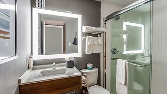 Staybridge Suites Dallas Market Ctr Love Field by IHG