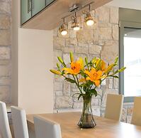 Villa Mimosa in Lefkada