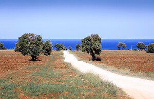 Tenuta Fonte in Ostuni