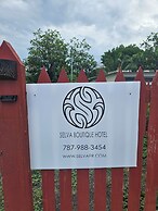 Selva Boutique Hotel - Luquillo Oceanfront Retreat - Adults only