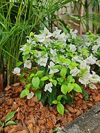 Momento Bangtao Beach