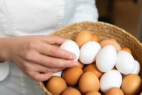 Domìa Boutique Hotel e Cucina