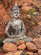 Casa com Jardim Praia da Ferrugem