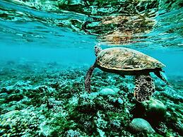 VIVA Beach & Spa MALDIVES