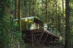 Forest Lodges
