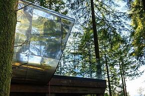 Forest Lodges