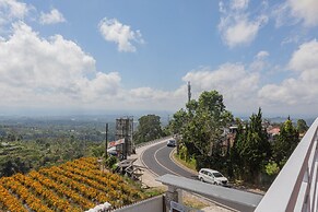 Lavender - Taman Tanda