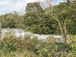 Watch Tree Apartment