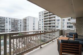 Bright Comfort in DC Apts