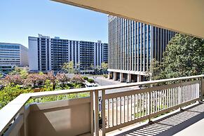 Bright Comfort in DC Apts