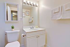 Bright Comfort in DC Apts