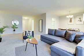 Bright Comfort in DC Apts