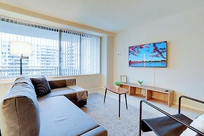 Bright Comfort in DC Apts