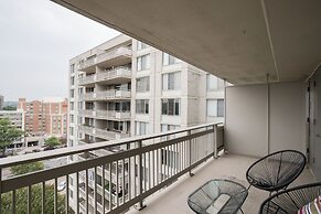 Bright Comfort in DC Apts