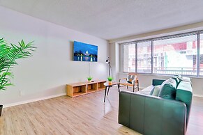 Bright Comfort in DC Apts