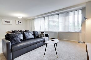 Bright Comfort in DC Apts