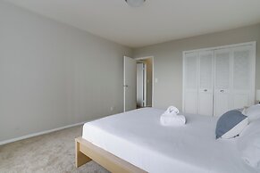 Bright Comfort in DC Apts