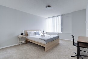 Bright Comfort in DC Apts