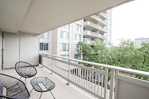 Bright Comfort in DC Apts