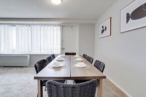 Bright Comfort in DC Apts