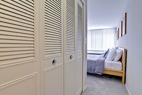 Bright Comfort in DC Apts