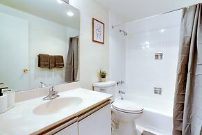 Bright Comfort in DC Apts