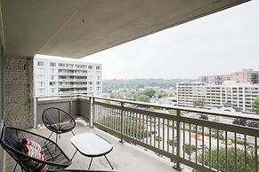 Bright Comfort in DC Apts