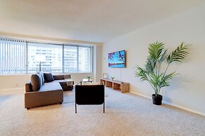 Bright Comfort in DC Apts