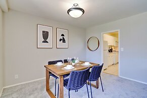 Bright Comfort in DC Apts