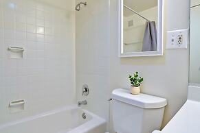 Bright Comfort in DC Apts